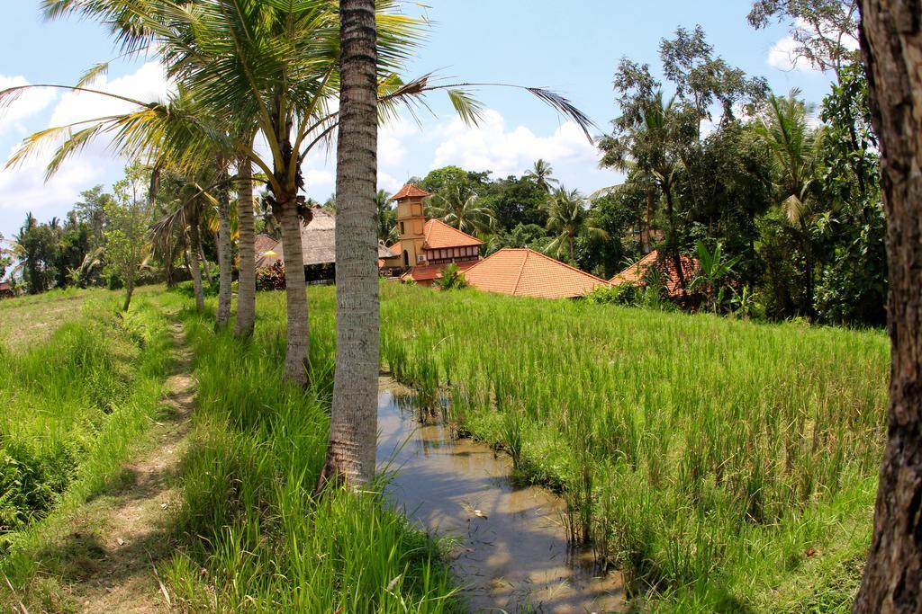 Hotel Villa Ubud Buitenkant foto
